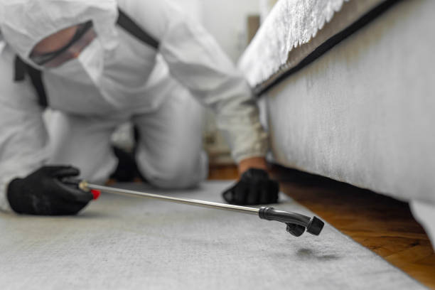 Professional Ant Control technician working in Church Point, LA